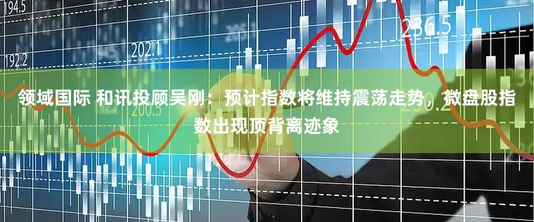领域国际 和讯投顾吴刚：预计指数将维持震荡走势，微盘股指数出现顶背离迹象