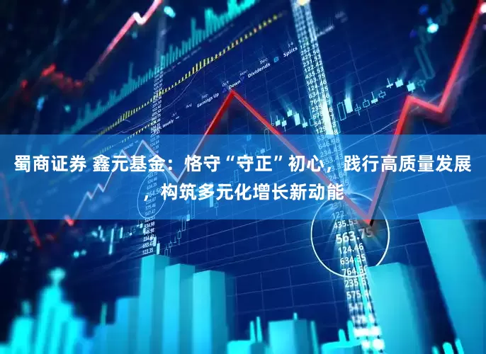 蜀商证券 鑫元基金：恪守“守正”初心，践行高质量发展，构筑多元化增长新动能