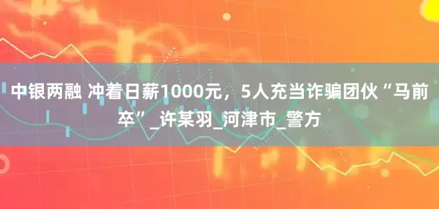 中银两融 冲着日薪1000元，5人充当诈骗团伙“马前卒”_许某羽_河津市_警方