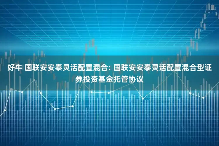 好牛 国联安安泰灵活配置混合: 国联安安泰灵活配置混合型证券投资基金托管协议