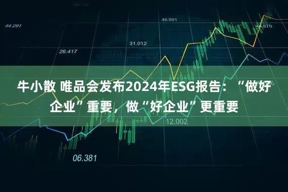 牛小散 唯品会发布2024年ESG报告：“做好企业”重要，做“好企业”更重要